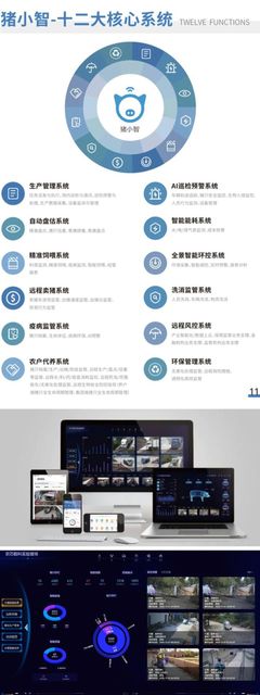 走進軟三·數智企業 廈門工業軟件、智慧養豬、人工智能的頭雁企業探秘